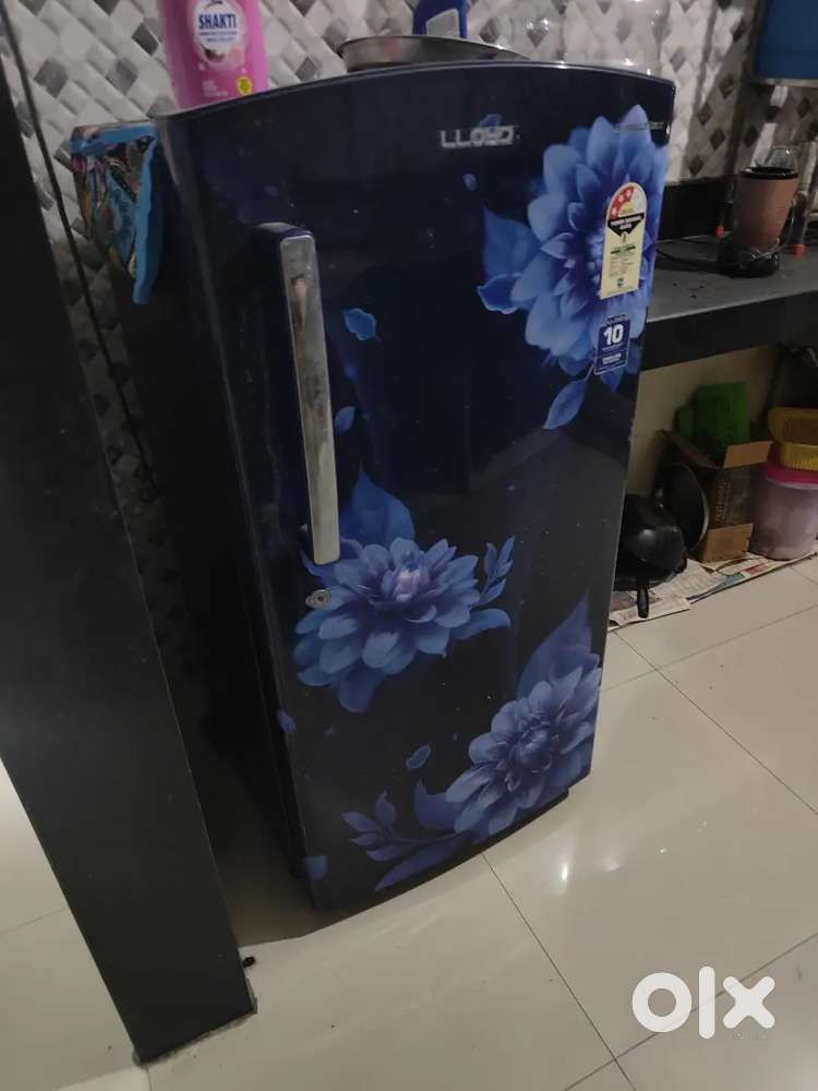 Fridge (2 year old)