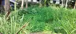 5/10/15 CENT RESIDENTIAL PLOT FOR SALE CHOOZHAMPALA NEAR VAYALIKKADA
