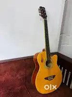 Standard guitar