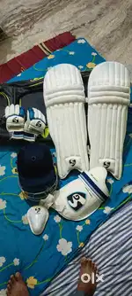 Cricket kit
