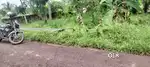 2.25 lakhs for cent,total 6 cent plot