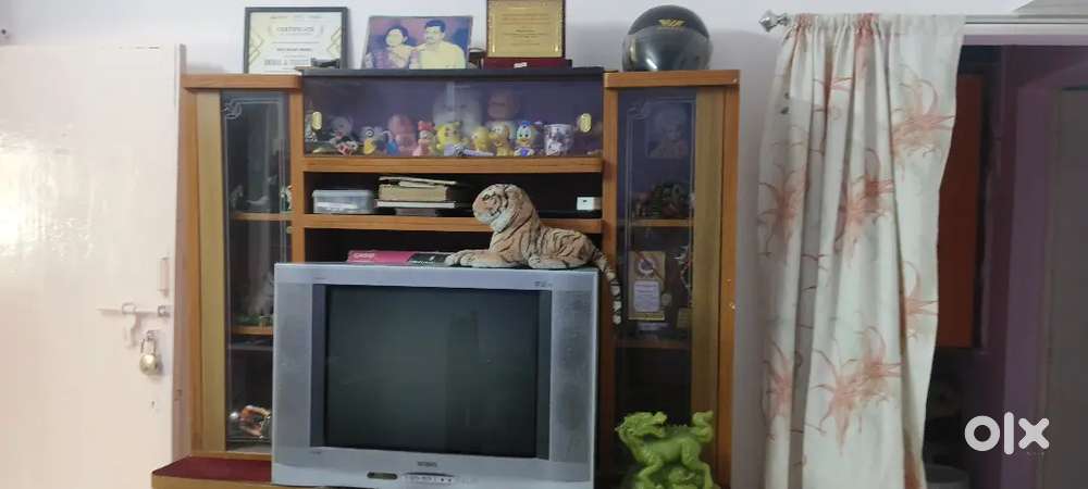 Full furniture with T.V