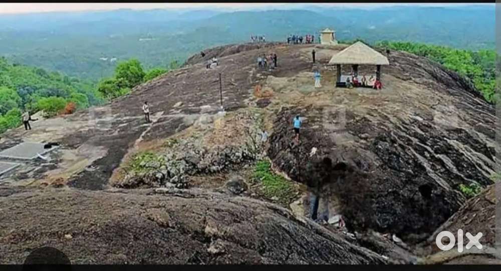 തൊടുപുഴ ഏരിയ 15 ഏക്കർ ക്രഷറിന് പറ്റിയ പാറ വിൽപ്പനയ്ക്ക്