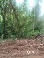 23 cent kalliyoor Road side