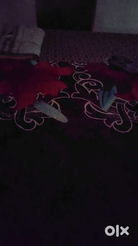 प्लाट बिकाऊ है