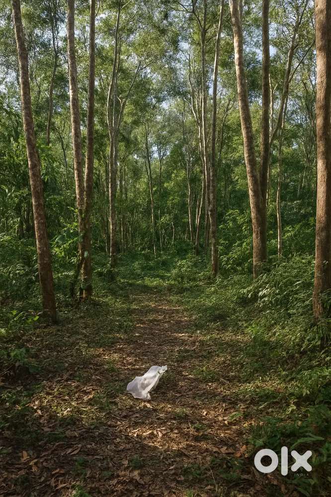 Urgent Sale: Prime 70 Cent Residential Land in Maloor, Kannur