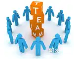 TEAM LEADERS & COLLECTION EXECUTIVES