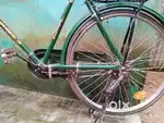 24 inch cycle