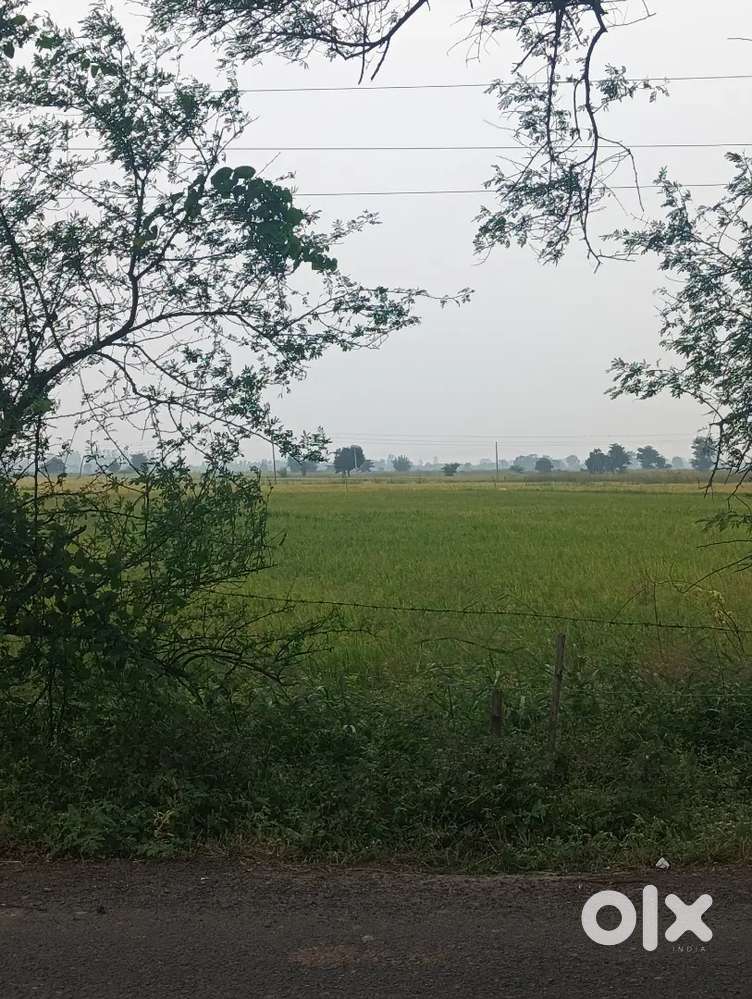 80 fit Main road plot in BAD Saliya..