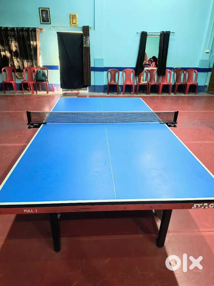 Table Tennis Board