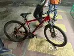 Ultimate bicycle for sale