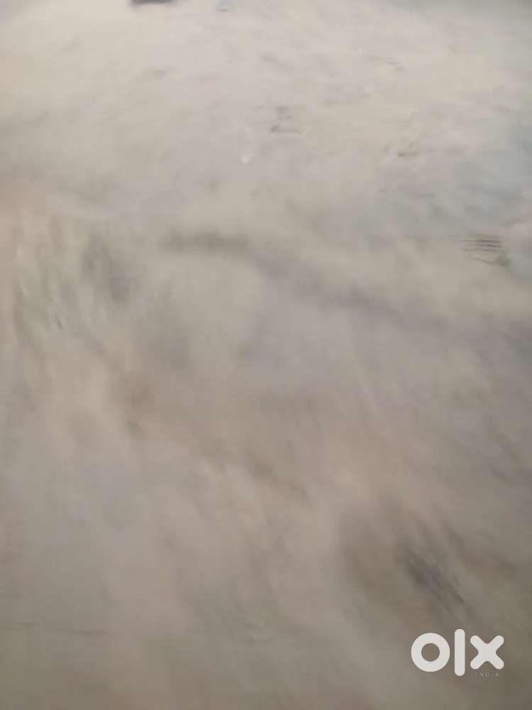 Ghelot motor ke pass koi plot ho 200 gaj corner ka thobetaye mujhe