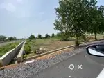 Very low price plot