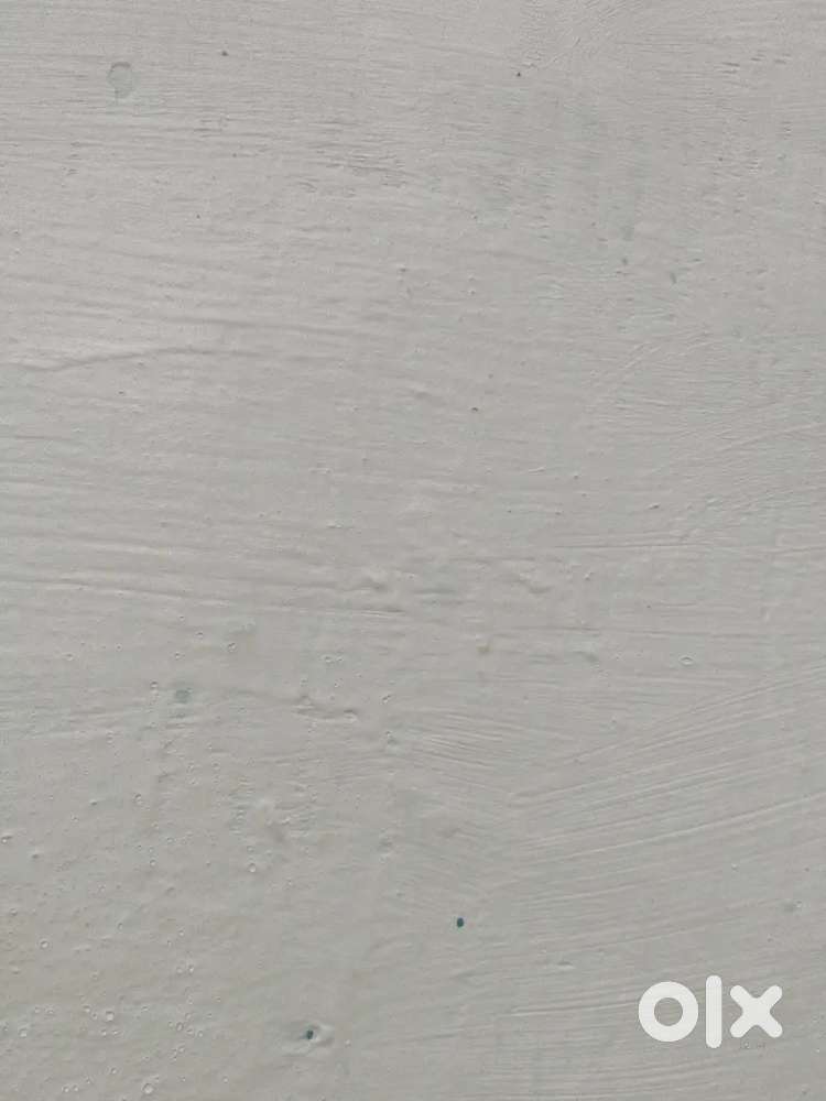 Computer operator and office boy and girl