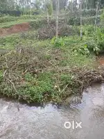 Urgent sale ..best for farm
