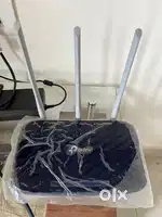 TP Link Router Dual Band