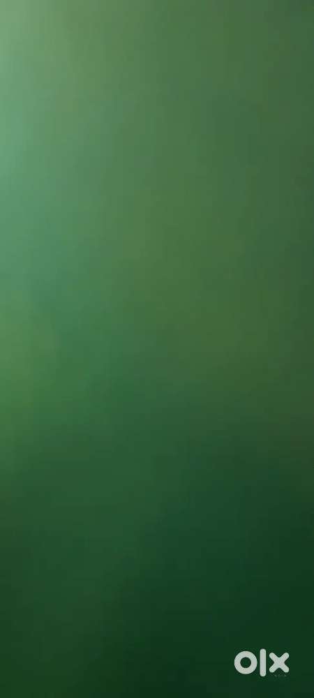 Urgently wanted female telecaller