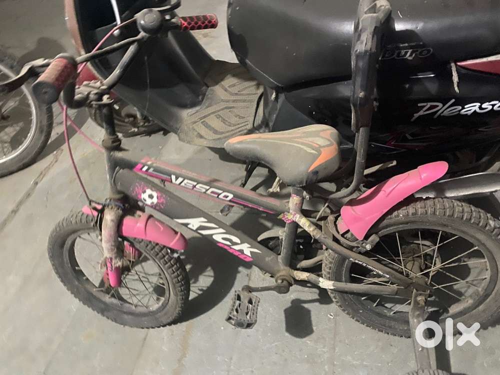 Vesco cycle