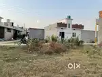 100 Gaj plot