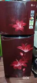 Lg Refrigerator