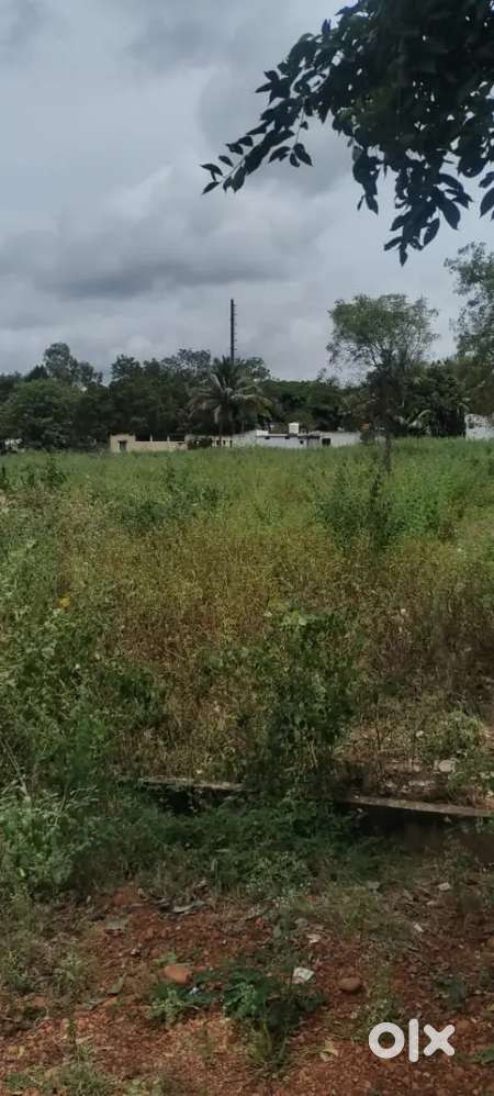 36 lakh per gount total 4gouta 2 ana new lic office