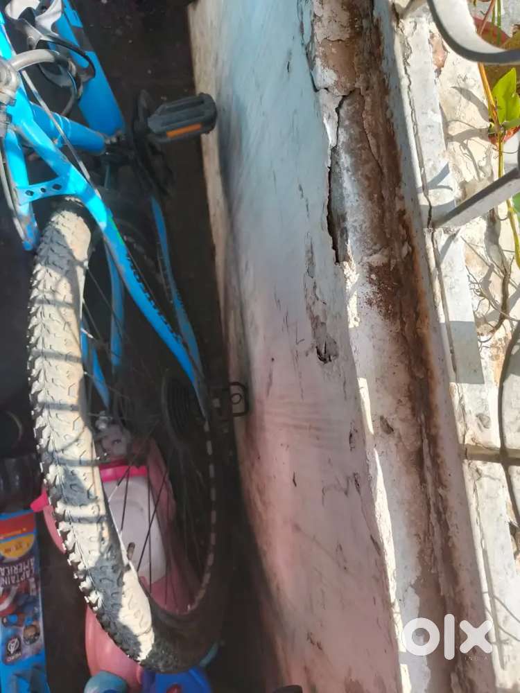 It's a brand new cycle in new condition gear cycle