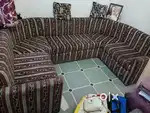 Brand new Sofa(सोफा) -  Excellent condition