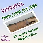 Farm land for sale in dindigul