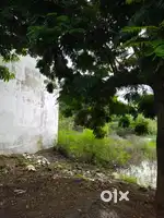 i want sell my plot