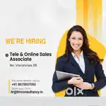 Telesales Executive