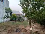 Plot for sale in Anand Nagar-B
