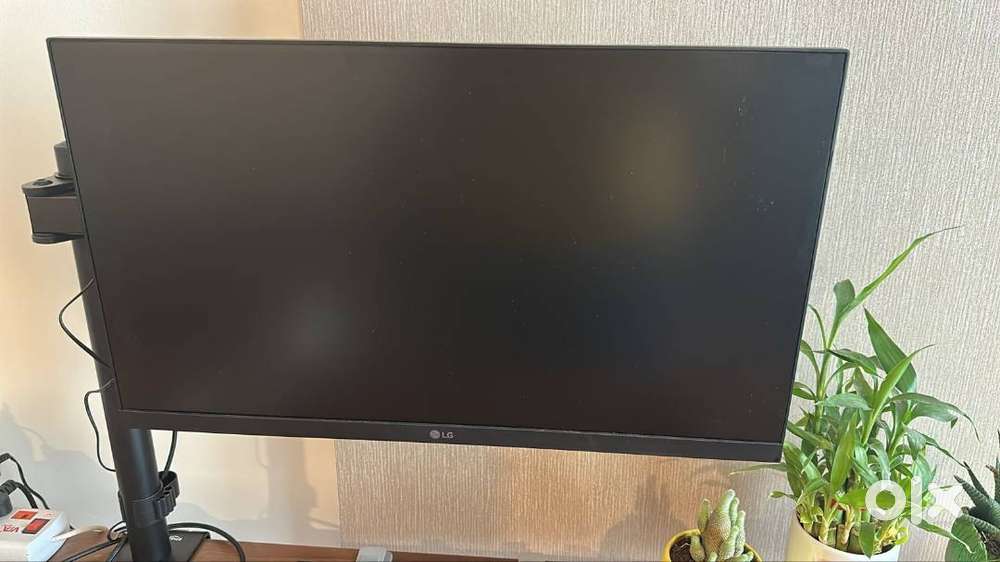 LG Monitor