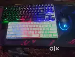 Ryzen 5 5500 pc