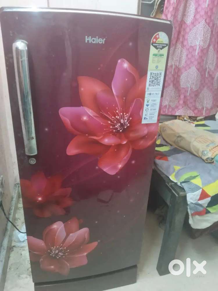 One year old 190 ltrs Hair Refridgerator at Ganganagar, Madhyamgram