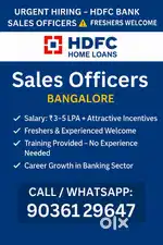 Sales officer