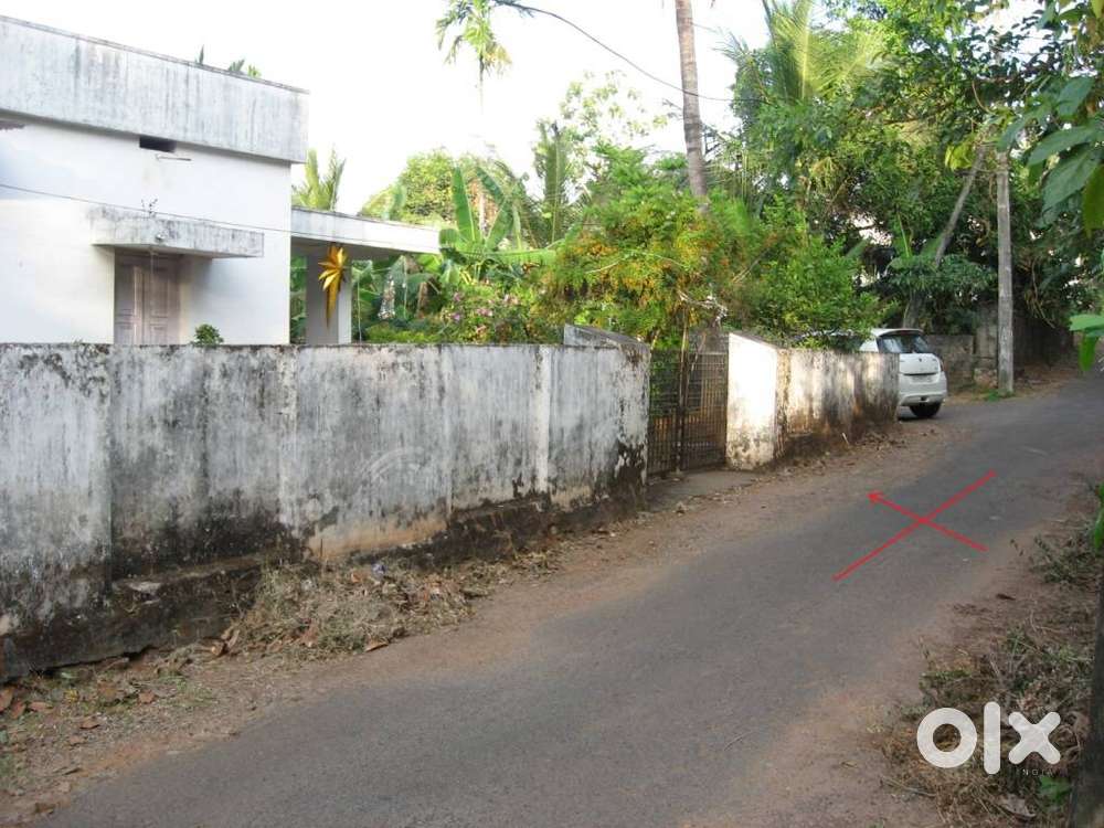 Rs. 12 lakhs /cent, 21 cents, Unity Road, Kuriachira, Thrissur