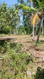 1 Acre residential Land and and 63 cents of paddy fields for sale in P