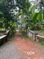 Chalikara peramabra