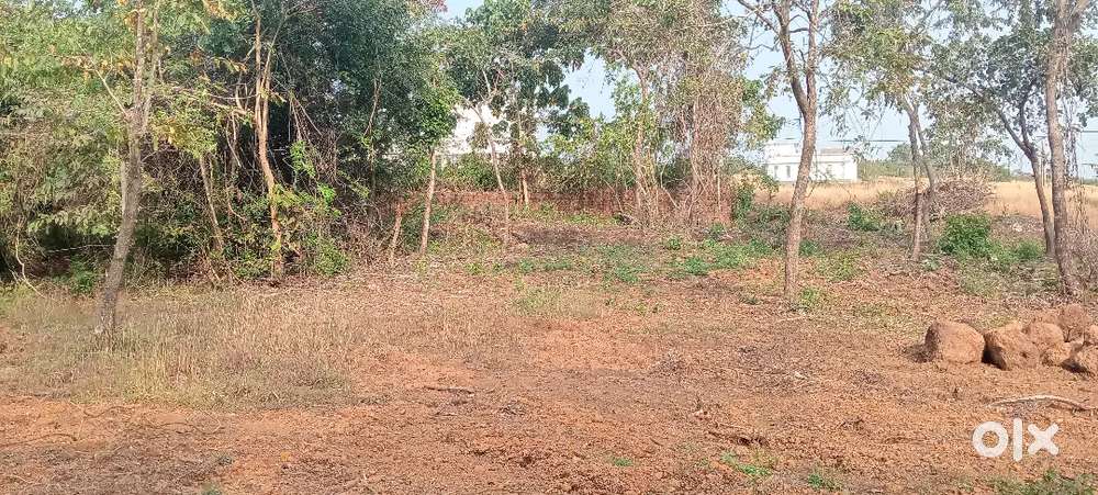10 cent house plot for sale near PERINGOME TOWN