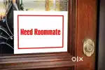 Need Room mate in New ashok nagar