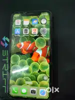 iPhone 11 64 Gb