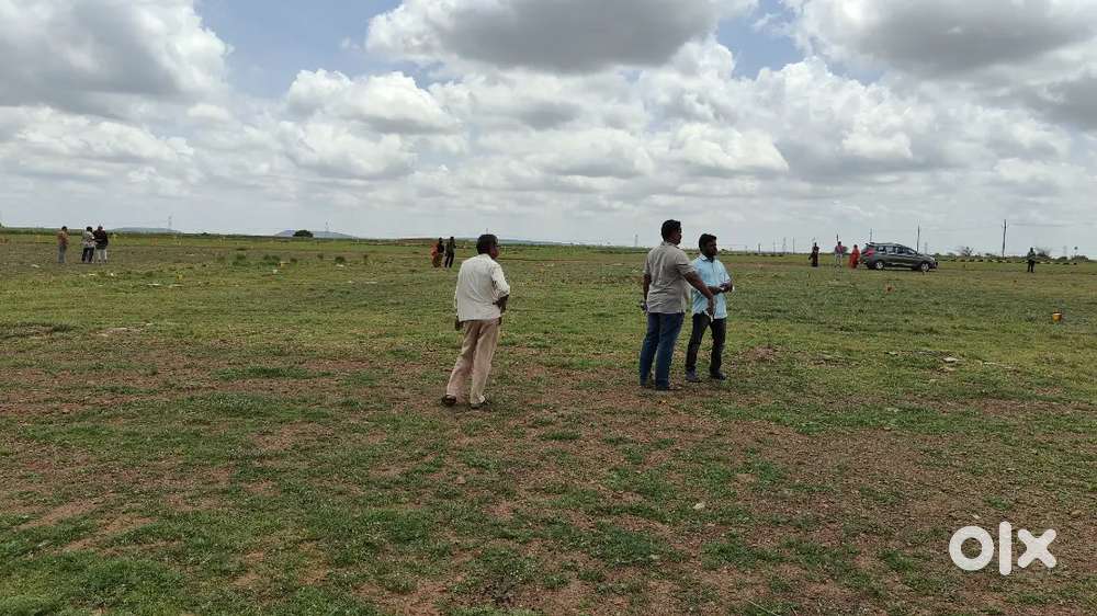 Never before never after offer