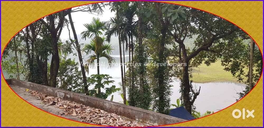 5 Acres Land for sale in near KUTTIYADI @ 20 Lacs/Acre