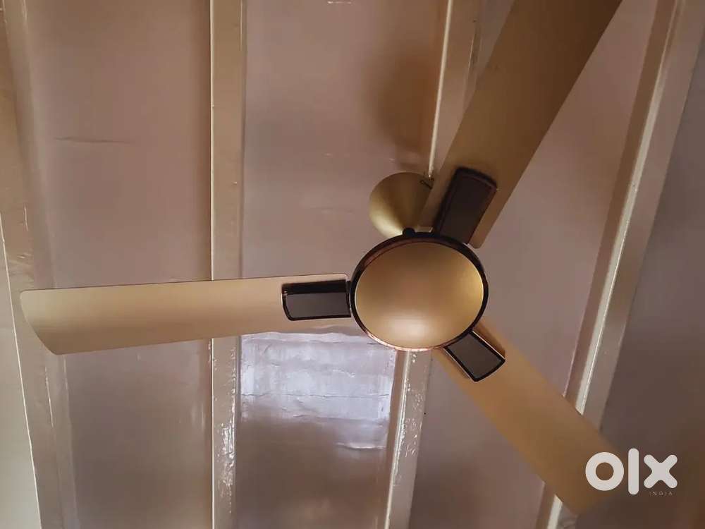 Crompton rapidus high Speed Fan
