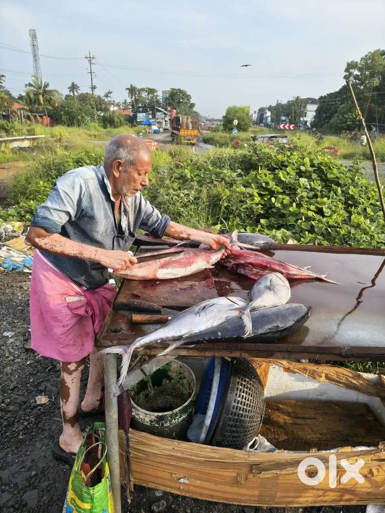 Fish cutting and cleaning