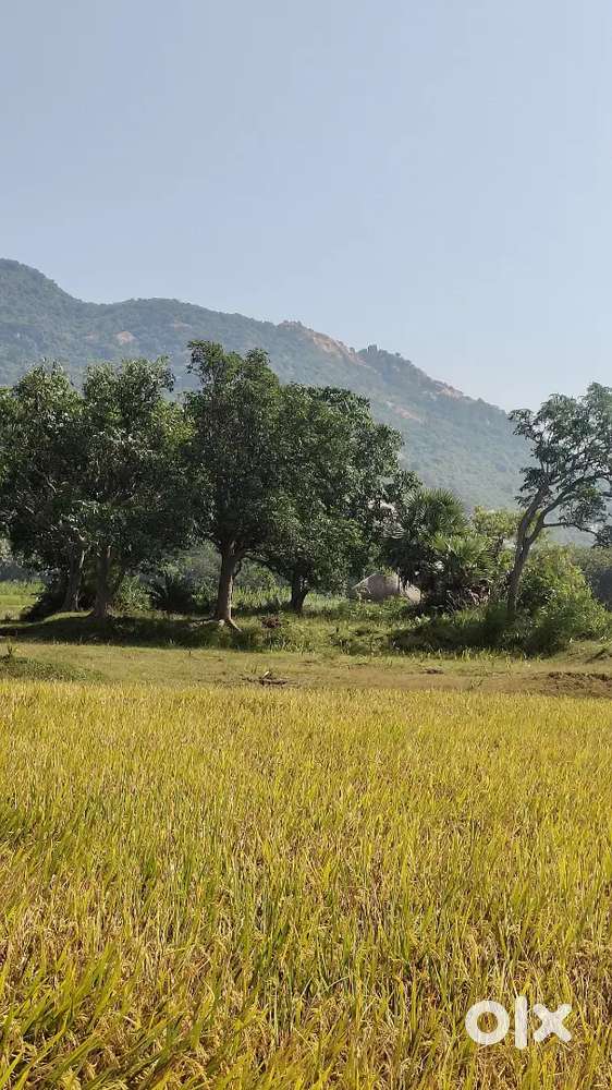 10 km distance from soro Bus stand and railway station