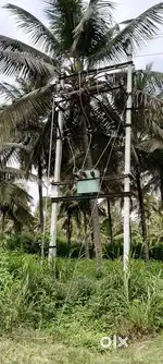 Land area 5.acres 3 kunte Coconut land in Gowdgare village,