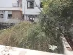Plot for Sale in Chhani