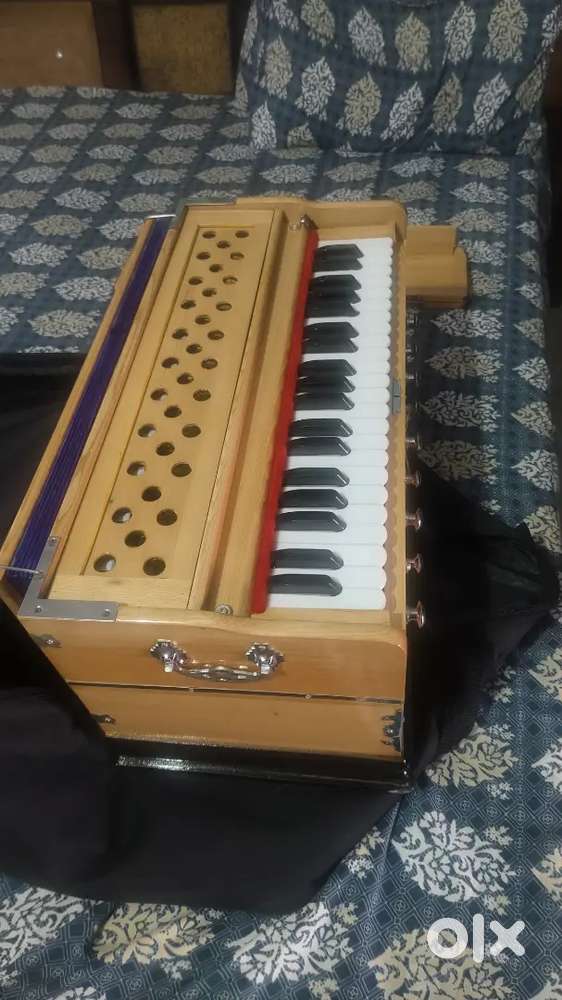 Harmonium 2 manth old  bilkul. New condition sell