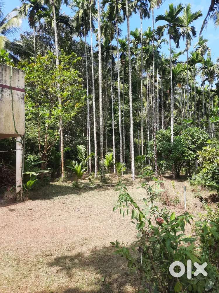 3 acre Farm House for sale 2.5 cr negotiable